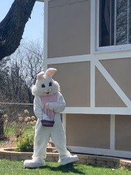 Easter Sunday Bunny - Custom time