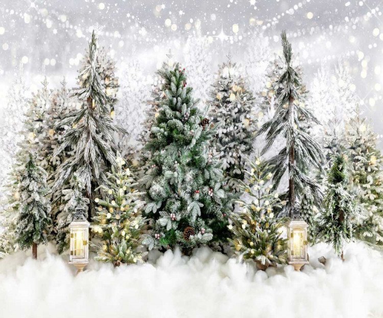 Christmas Trees with Snow Backdrop