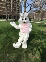 2017 04 152016 45 29 1676324274 Easter Bunny Costume Character