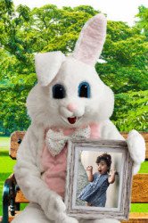 bunny20picture20promo202 1678638041 Easter Bunny Picture Digital Program - Remote - Fundraiser