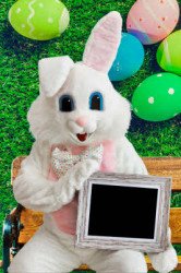 bunny20picture20promo 1678638041 Easter Bunny Picture Digital Program - Remote - Fundraiser