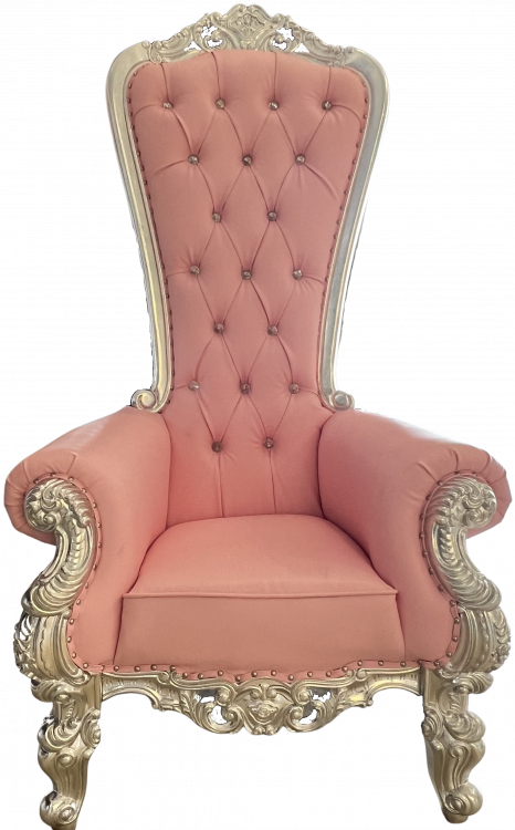 Throne Chair Pink with Silver trim