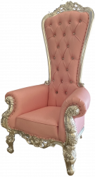 Throne20Chair20Pink20with20Silver20trim20220no20BG 1687460063 Throne Chair Pink with Silver trim