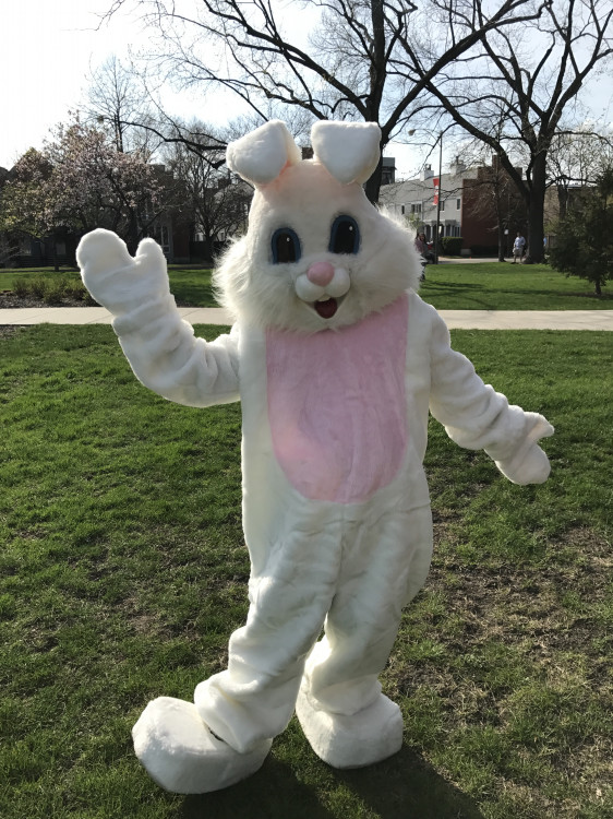 Entertainment - Costumed Characters