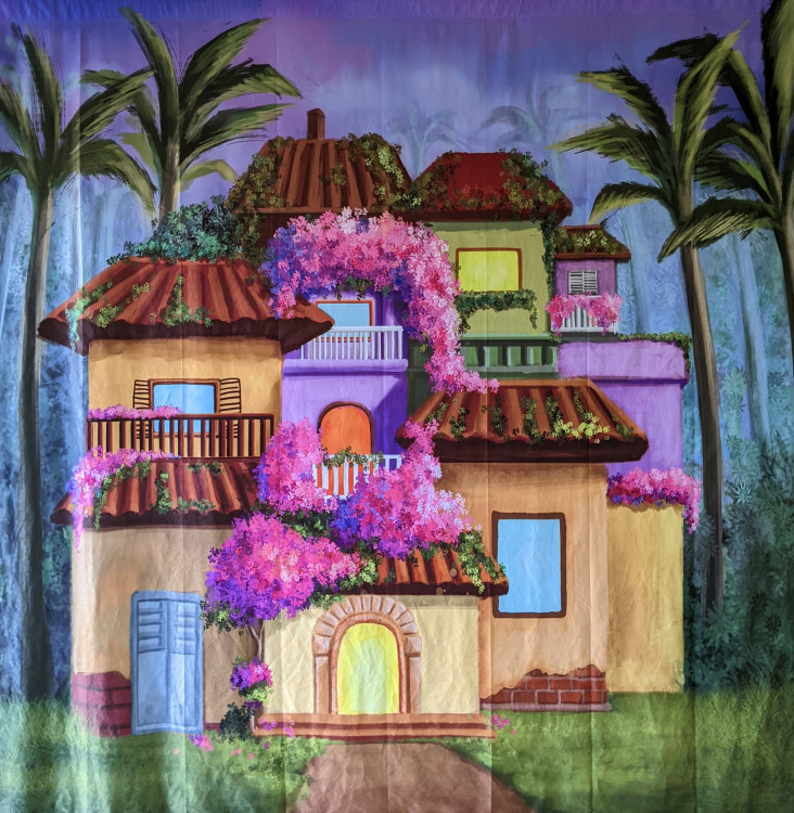 Encanto Themed Backdrop Encanto Themed Backdrop