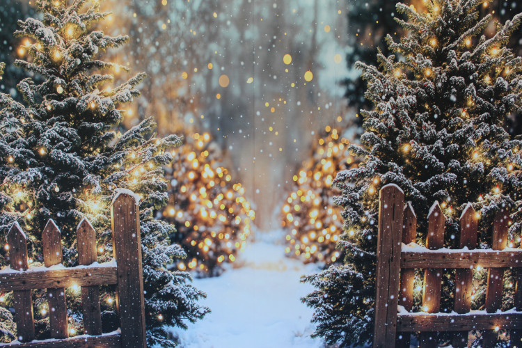 Themed Backdrops