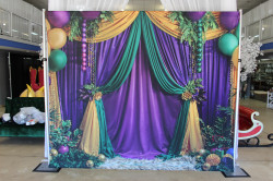 Mardi Gras Backdrop IMG 1485 1732917143 Mardi Gras Backdrop