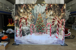 Peppermint Sticks Backdrop IMG 1521 1731982110 1 Peppermint Sticks Backdrop