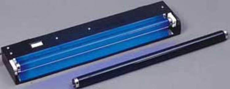 Black Lights
