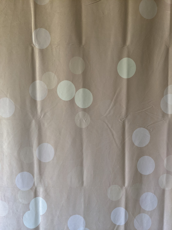 Champaign and White Dot Backdrop Champaign and White Dot Backdrop