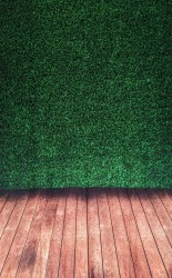 Patio Greenery Backdrop Patio20Greenery20Backdrop20Fully20Raised 1732916812 1 Patio Greenery Backdrop