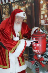 Santa Dewey Santa20Dewey20202420008 1732252617 Santa Dewey