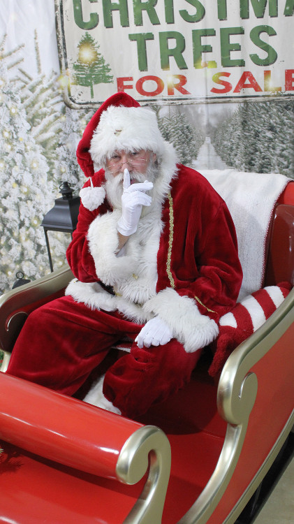 Santa Loren Santa Loren