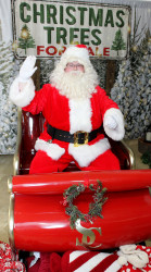 Santa Paul Santa20Paul20202420024 1732821591 Santa Paul