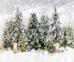 Christmas Trees with Snow Backdrop Christmas Trees with Snow Backdrop