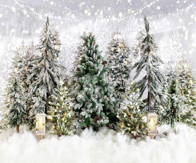 Christmas Trees with Snow Backdrop Christmas Trees with Snow Backdrop