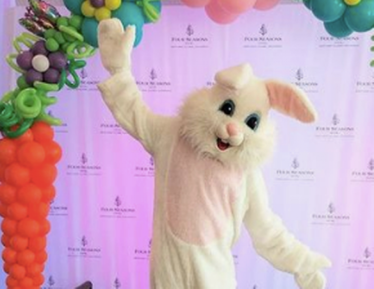 Easter Photo Sets with Bunny