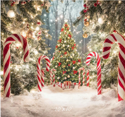 Peppermint Sticks Backdrop Peppermint Sticks Backdrop