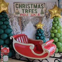 Santa’s Sleigh Set Santa’s Sleigh Set