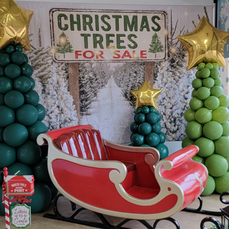 Santa’s Sleigh Set Santa’s Sleigh Set
