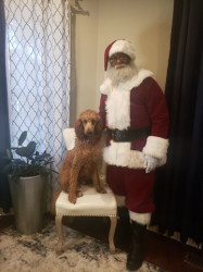sean20with20dog 1670695264 Santa Sean