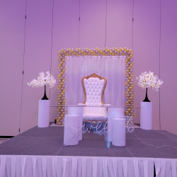 LED Light Curtain LED Light Curtain