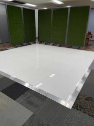 Arctic White Dance Floors Arctic White Dance Floors