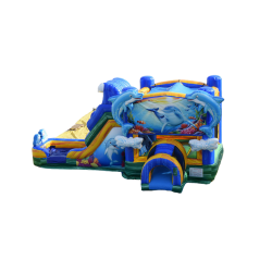 Dolphin Splash Slide & Bounce Combo Waterslide