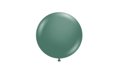 Evergreen2 1736795630 2 Evergreen