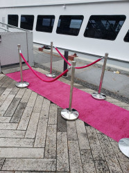 Pink Carpet - 3x20