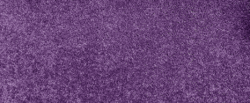 15 Ft Purple Carpet