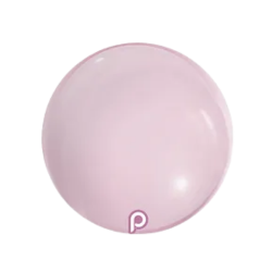 Ballet20Slipper Prima.png202 1767843060 Ballet Slipper