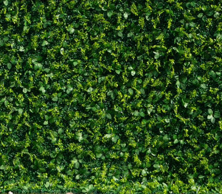 Hedge Wall / Greenery Wall